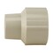 Apollo Apollo Schedule 40 1/2 in. Slip in to X 1/2 in. D FNPT CPVC Female Adapter 10 pk CPVCFA12W10PK - alternate 1